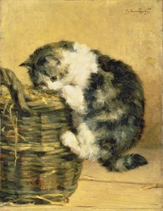 かごを持つ猫